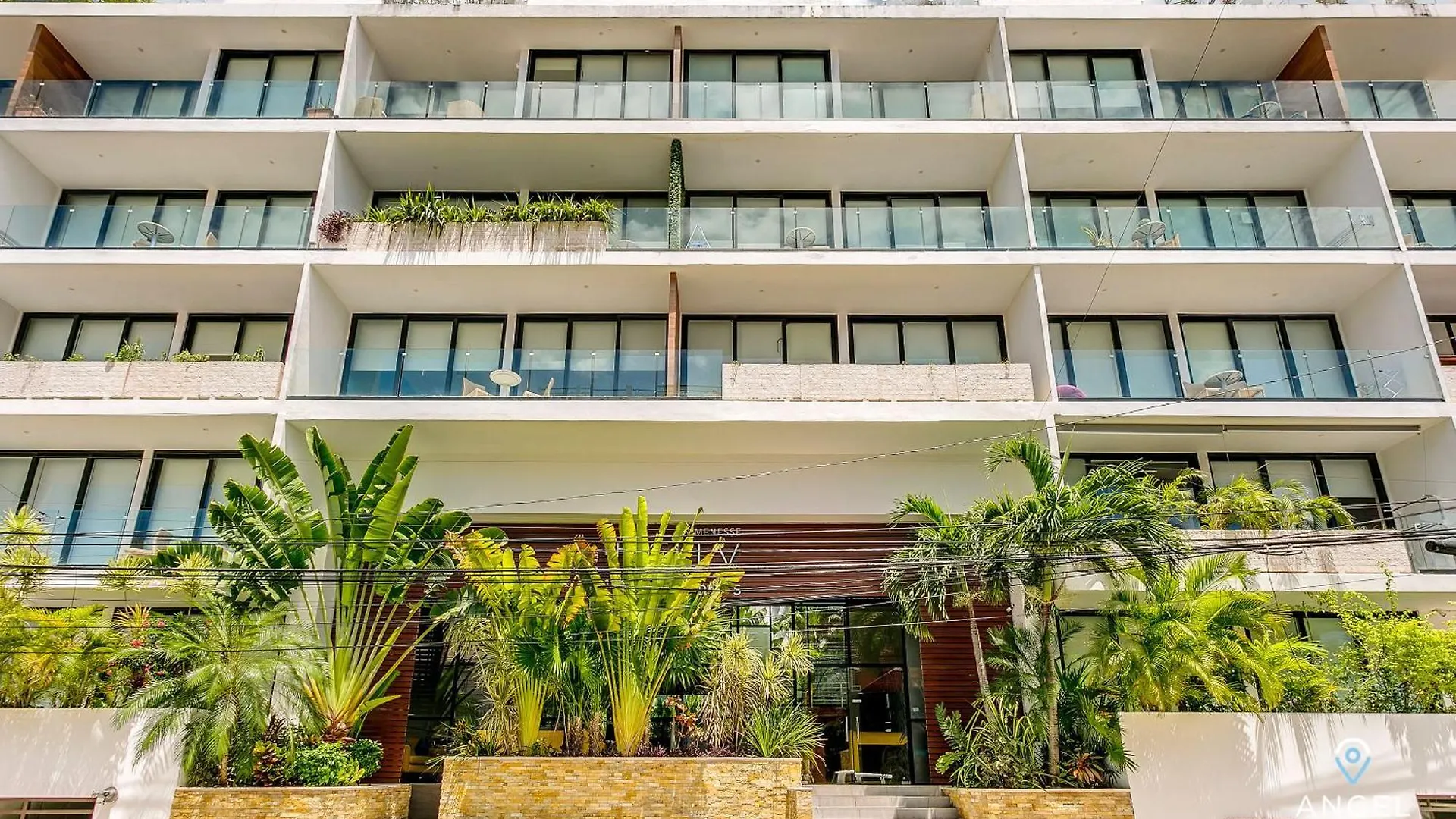 New Private Roof Pool And Bbq 2 Onsite Pools Plus Cafe 普拉亚卡门 公寓
